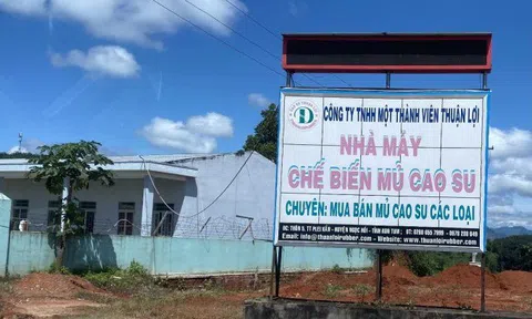 Kon Tum: Ai cho phép nhà máy cao su xả thải trực tiếp ra môi trường?