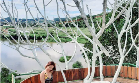 Mê Linh Coffee Garden Đà Lạt – địa điểm sống ảo cực “chill” giữa núi đồi Đà Lạt