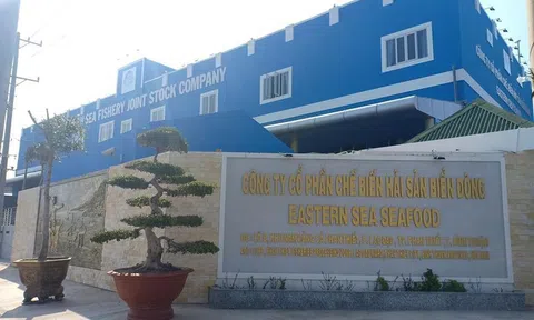 Công ty TNHH Xây Dựng Và Hải Sản An Toàn – đưa hải sản Việt vươn tầm thế giới