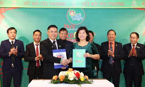 Vilcogroup Hành Trình Kết Nối Yêu Thương Việt Nam