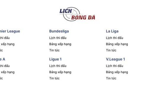 Khám Phá Trang Web Lịch Bóng Đá - Nơi Người Hâm Mộ Tìm Kiếm Ngóc Ngách Về Thế Giới Bóng Đá