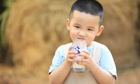 Cải tiến liên tục - chìa khóa đưa Cô Gái Hà Lan vào top đầu ngành sữa