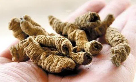 Những sự thật về ba kích