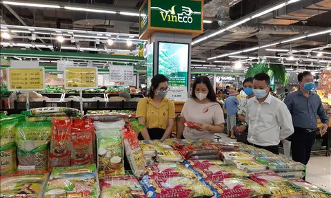 Hà Nội: Nguồn cung hàng hóa dồi dào phục vụ Tết Nguyên đán