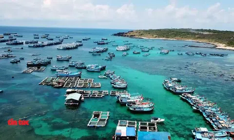 Đảm bảo hàng hóa thiết yếu cho huyện đảo Phú Quý dịp Tết Nguyên đán