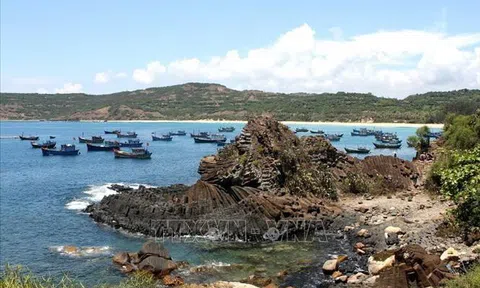 Xếp hạng 7 di tích quốc gia đặc biệt và công nhận 24 bảo vật quốc gia