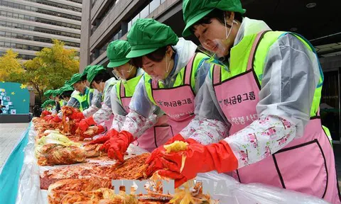 Kim chi là món ăn Hàn Quốc được ưa thích nhất trên toàn cầu