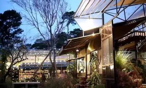 Tiệm cà phê cao hơn mây ở Đà Lạt