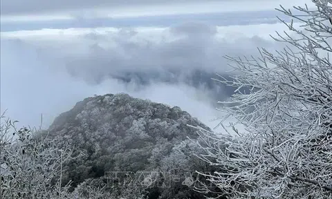 Băng giá phủ kín đỉnh núi Phia Oắc, Cao Bằng