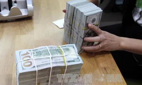 Tỷ giá trung tâm sáng 8/1 tăng 4 đồng