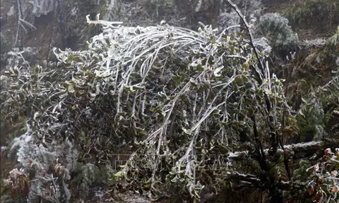 Băng tuyết phủ trắng đỉnh đèo Ô Quy Hồ