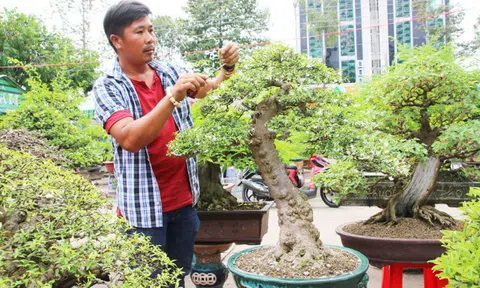 Nghề makeup cây cảnh dịp Tết, vừa làm vừa chơi cũng ra tiền