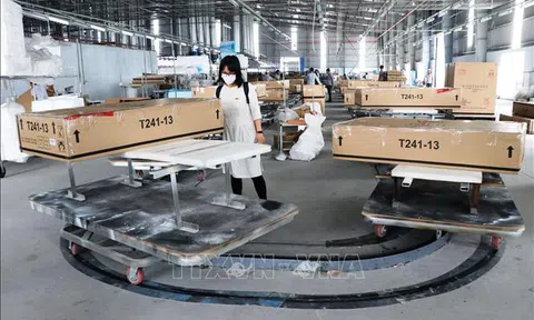 Chuẩn bị cho gỗ Việt vào các thị trường khó tính