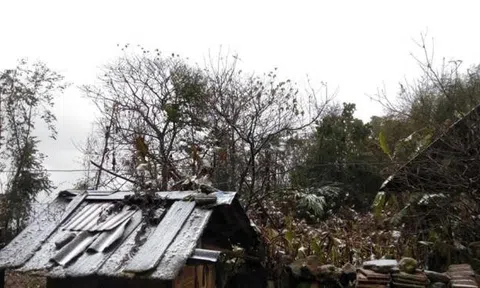 Tuyết đang rơi ở Y Tý, Sa Pa