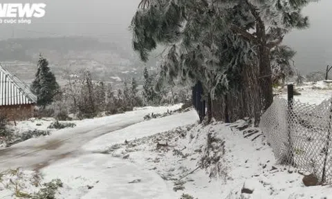 Thật ấu trĩ khi ác cảm, chỉ trích những người đổ xô đi ngắm tuyết rơi