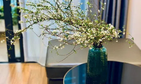 Hoa lạ hút khách dịp cận Tết