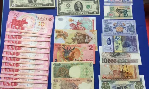 Săn tiền 'trâu vàng' tài lộc độc lạ chơi Tết Tân Sửu