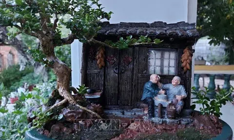 Kỷ lục gia thế giới về bonsai mini thổi hồn vào thiên nhiên