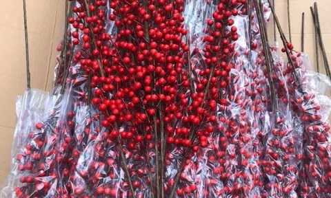 Giới nhà giàu Việt "đốt" hàng chục triệu đồng mua đào đông đỏ chơi Tết