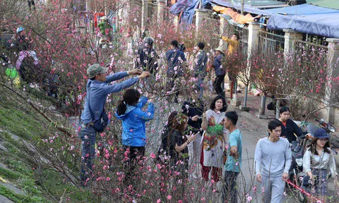 Để cánh đào thắm hơn và một cái Tết đủ đầy cho tất cả