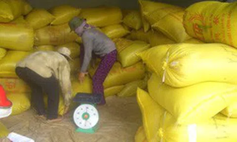 Vì sao xuất khẩu gạo Việt Nam bất ngờ giảm mạnh?