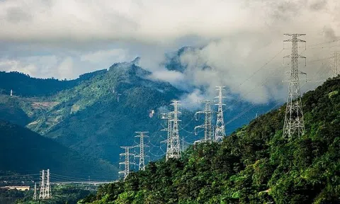 Phiên giao dịch ngày 4/2/2021: Những cổ phiếu cần lưu ý