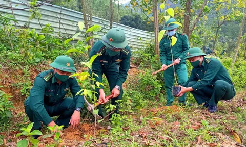TP.Đà Nẵng: Hàng ngàn cây xanh ươm mầm từ phát động Tết trồng cây