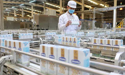 Chuyển đổi mô hình tăng trưởng, cách nào? (*): Nuôi dưỡng doanh nghiệp lớn