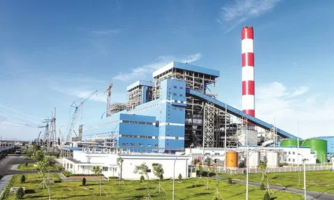 Vượt xa kế hoạch, Nhiệt điện Phả Lại (PPC) lại sắp chi 370 tỷ đồng tạm ứng cổ tức đợt 2/2020