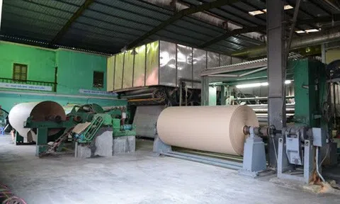 Giấy Hoàng Hà Hải Phòng (HHP) lên niêm yết trên HoSE, giao dịch phiên đầu vào 3/3 tới đây