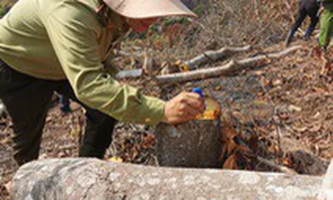 Xác định 2 nghi can phá rừng phòng hộ ở Đà Lạt