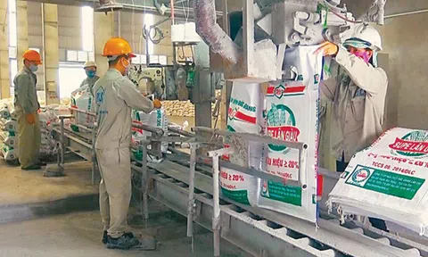 Hoá Chất Đức Giang (DGC): Cổ phiếu tăng mạnh, Chủ tịch vừa tăng sở hữu lên 21,43% vốn