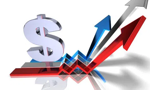 HPG, HBC, PLX, VGC, DGC, PNG, TCD, POM, HIG, NED, CKG, SMC, NHA, CXA, SPV, DRI, NHP, VNT: Thông tin giao dịch lượng lớn cổ phiếu