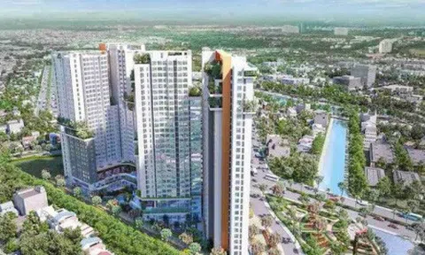 Chưa truy thu được gần 400 tỷ, Cục Thuế TP.HCM đề nghị bỏ biện pháp khẩn cấp tạm thời