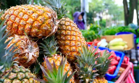 Trung Quốc cấm cửa dứa từ Đài Loan, Đài Bắc cáo buộc Bắc Kinh "chơi không đẹp"