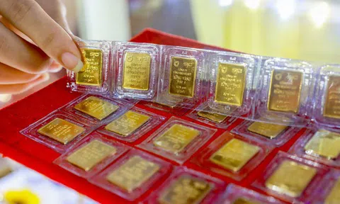 Giá vàng SJC rớt về quanh mức 55,5 triệu đồng/lượng, giảm 700 nghìn đồng/lượng trong tuần này