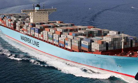 Cục Hàng hải kiểm tra giá vận chuyển container của 11 hãng tàu ngoại