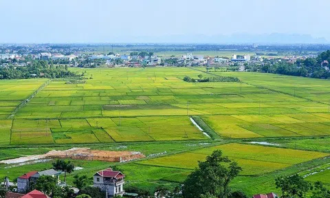 Bộ tài nguyên và Môi trường sẽ kiểm tra quản lý đất đai tại 26 tỉnh, thành phố trong năm 2021