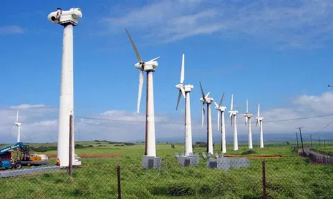 EVN có thể tiếp tục cắt giảm công suất điện gió ở mức cao do thừa điện