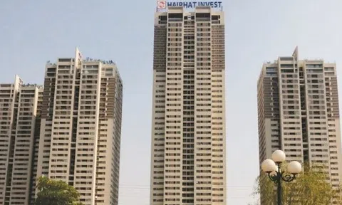 Lãi ròng Hải Phát Invest bị “thổi bay” 67% sau kiểm toán 2020