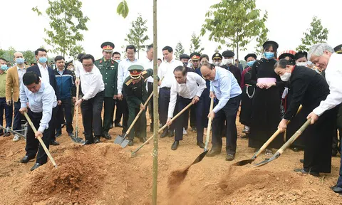 Đề án trồng một tỷ cây xanh được phê duyệt