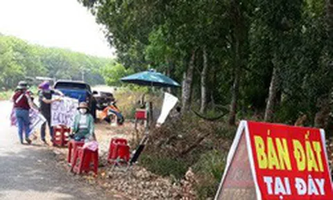 Dữ liệu bất động sản giải mã ẩn số sốt đất: Nơi chỉ vì ‘cò’ thổi giá, nơi tăng nóng do cầu thật bởi 4 nguyên nhân!