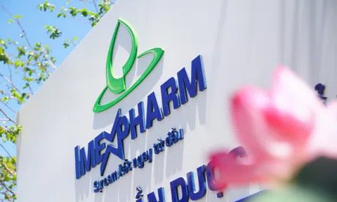 SK Group lên kế hoạch mua thêm 5,18% cổ phần Imexpharm (IMP) từ VinaCapital