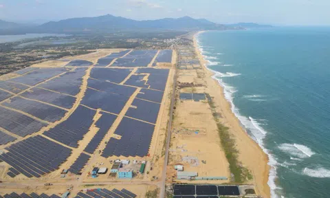 Bamboo Capital (BCG): Hoàn tất nhà máy điện mặt trời Phù Mỹ 330MW, tổng đầu tư lên đến 6.200 tỷ đồng