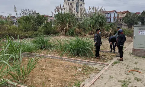 Hạ sốt đất, cần đánh vào lợi ích của hoạt động đầu cơ?