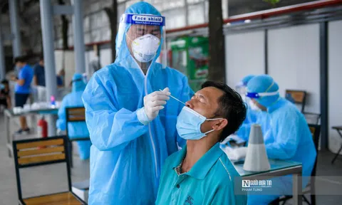Hà Nội: Xét nghiệm nhanh kháng nguyên cho tài xế “luồng xanh”