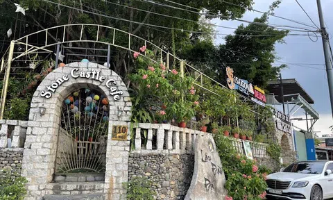 TDG Food chuyên cung cấp tiệc chuẩn 5 sao tại nhà