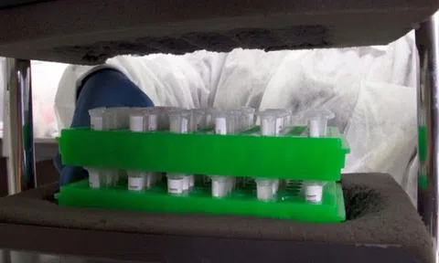 Hành trình tìm ra "siêu biến thể" Omicron tại điểm nóng Nam Phi: Thế giới hỗn loạn vì một biến chủng Covid bí ẩn