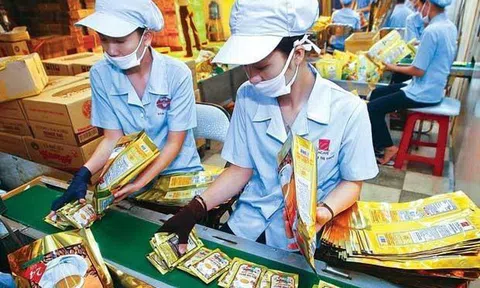 VinaCafé Biên Hòa (VCF): Năm 2021 lãi 429 tỷ đồng, giảm 41% so với cùng kỳ, EPS đạt 16.134 đồng