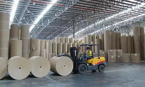 Đông Hải Bến Tre (DHC) "khát vốn", muốn vay tiền tại một loạt các ngân hàng